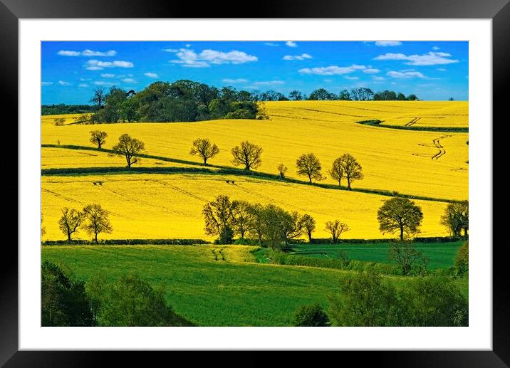 Rutland Countryside Landscape Framed Mounted Print by Martyn Arnold