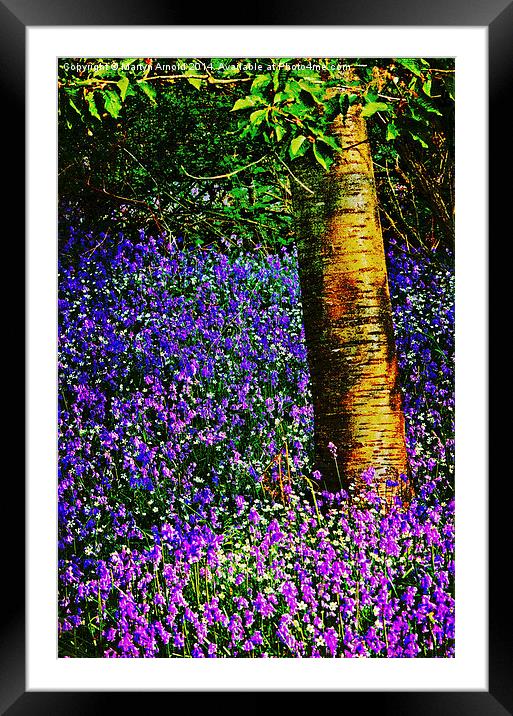 Bluebell Wood Framed Mounted Print by Martyn Arnold
