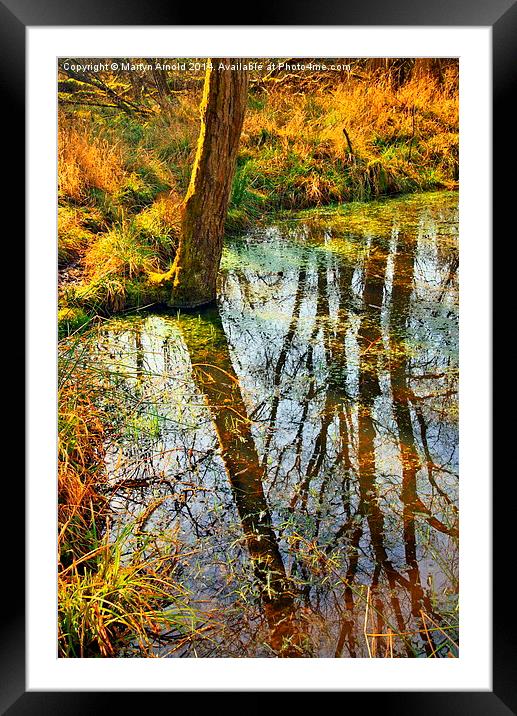 Reflections on the Pond Framed Mounted Print by Martyn Arnold