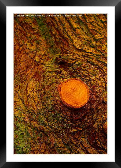 Wood  Bark and Grain Framed Mounted Print by Martyn Arnold