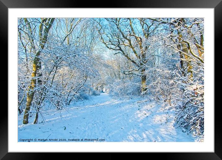 Winter Woodland Walk Framed Mounted Print by Martyn Arnold