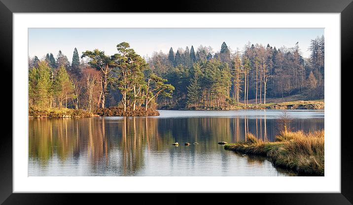Tarn Hows, Lake District, Cumbria Framed Mounted Print by Martin Parratt