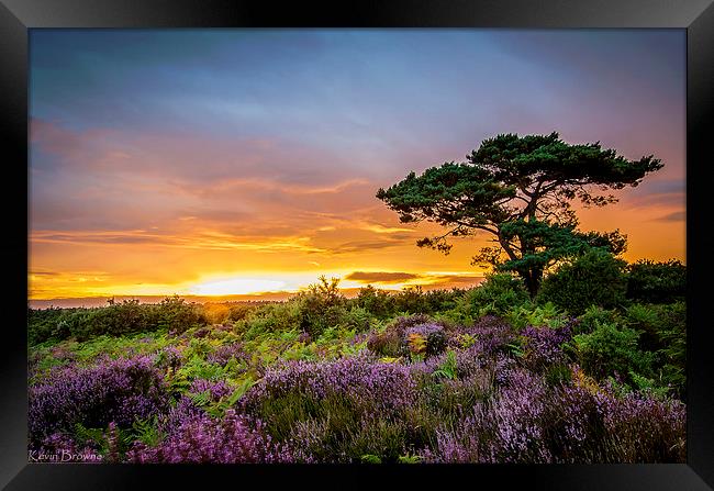 New Forest Sunset at Bratley View Framed Print by Kevin Browne