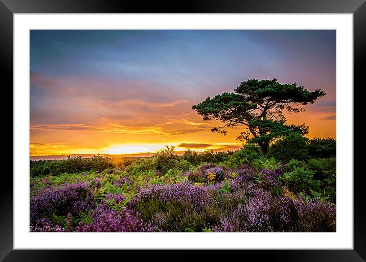 New Forest Sunset at Bratley View Framed Mounted Print by Kevin Browne