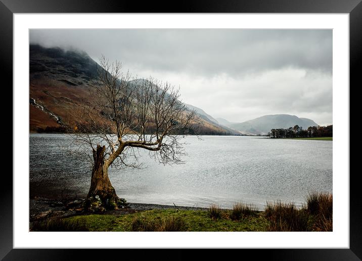 Lonely Tree in the Lake District Framed Mounted Print by John Ly