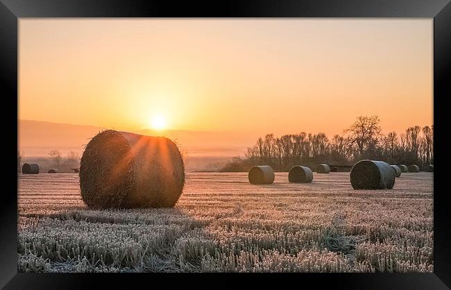 Sunrise over the Bales Framed Print by Roz Greening