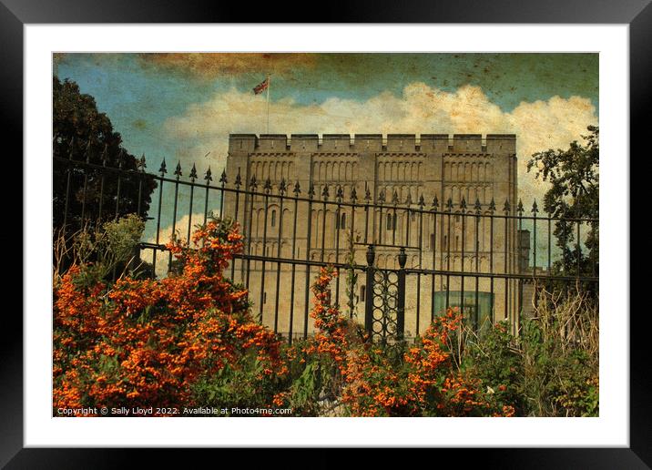Norwich Castle - Vintage style autumn view.  Framed Mounted Print by Sally Lloyd