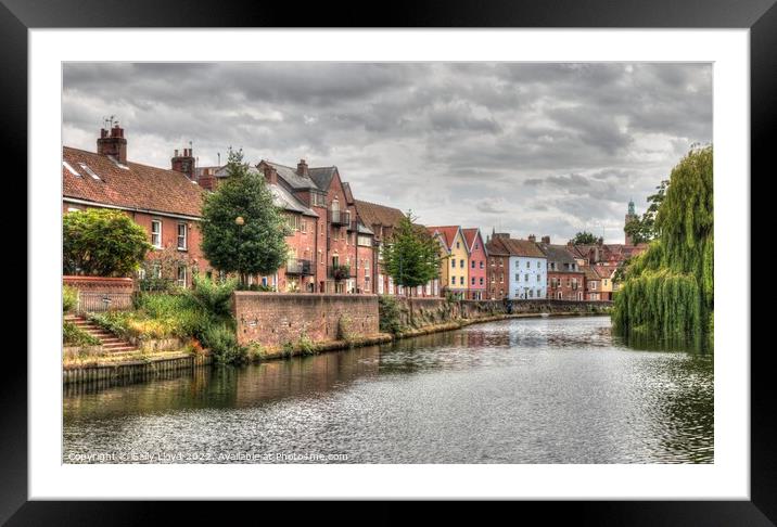 Colourful Quayside along the Wensum, Norwich Framed Mounted Print by Sally Lloyd