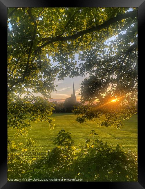 Norwich Cathedral Golden Sunset Framed Print by Sally Lloyd