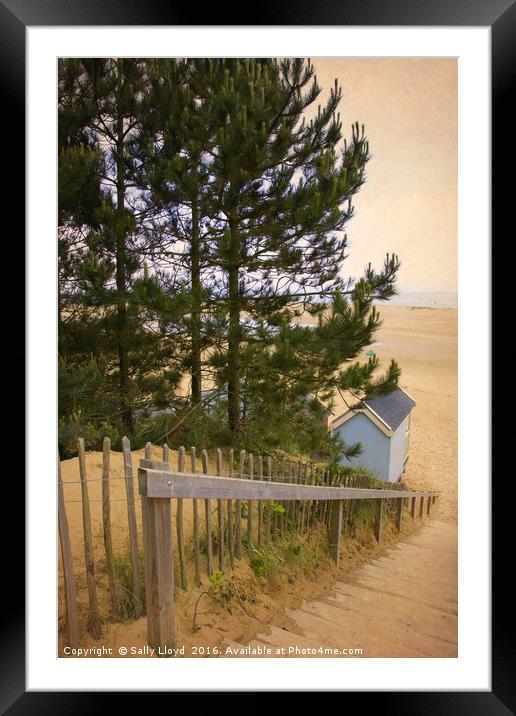 Single Blue Beach Hut Framed Mounted Print by Sally Lloyd