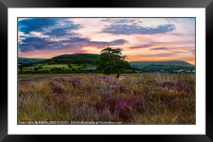 "Setting sun North York Moors" Framed Mounted Print by ROS RIDLEY