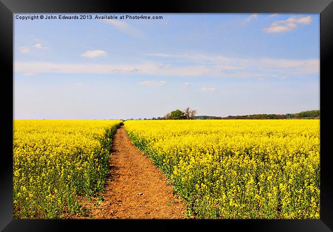 The Path to Bosworth Field Framed Print by John Edwards