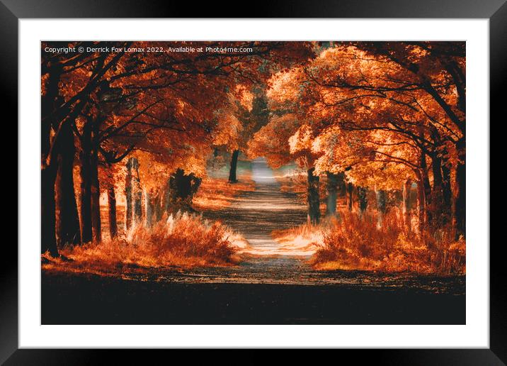 Autumn trees  in rivington Framed Mounted Print by Derrick Fox Lomax