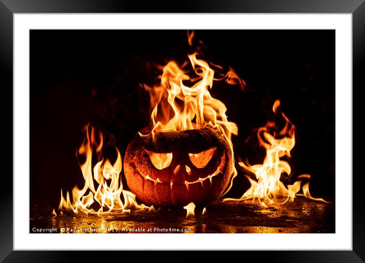 Cooking Pumpkins  Framed Mounted Print by Ray Pritchard