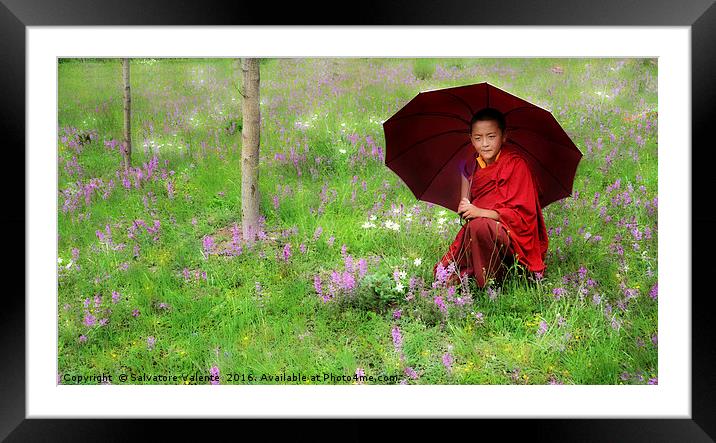   Tibetan flower Framed Mounted Print by Salvatore Valente