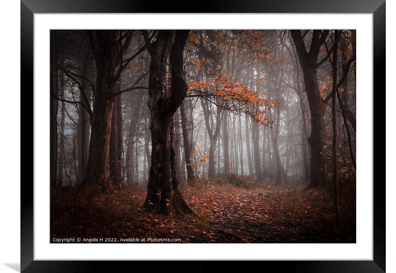 Buy Framed Mounted Prints of Foggy Forest by Angela H