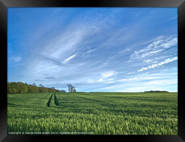 Field of Barley Framed Print by Darren Mark Walsh