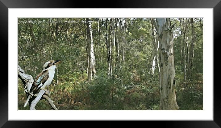 Kookaburra Amongst the Gum Trees.  Framed Mounted Print by Geoff Childs
