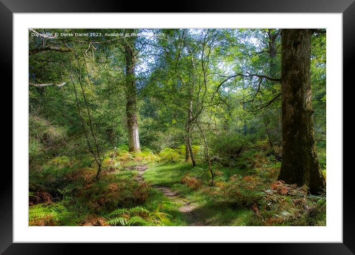 walking through the enchanted forest Framed Mounted Print by Derek Daniel