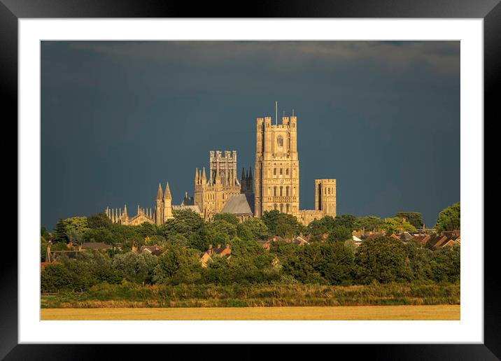 Ely Cathedral in golden hour light Framed Mounted Print by Andrew Sharpe