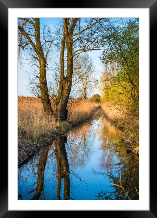 Wicken Fen scenic landscape in late evening light Framed Mounted Print by Andrew Michael