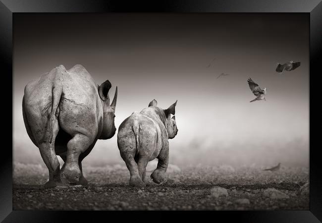 Black Rhinoceros cow with calf  Framed Print by Johan Swanepoel