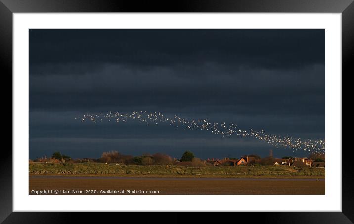 Hoylake Knot Murmuration Framed Mounted Print by Liam Neon