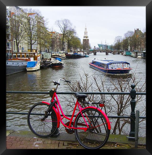 Amsterdam - red bike  Framed Print by David Turnbull