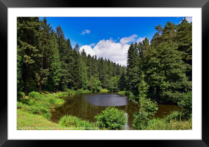 Serene Soudley Ponds in the Forest of Dean Framed Mounted Print by Tracey Turner