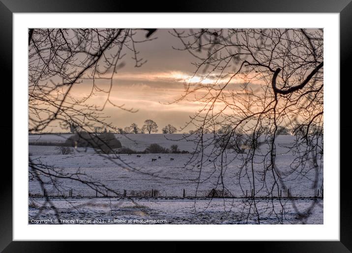 Radiant Winter Sunrise Framed Mounted Print by Tracey Turner
