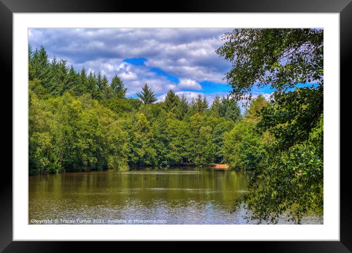 Speech House Lake, Forest of Dean Framed Mounted Print by Tracey Turner