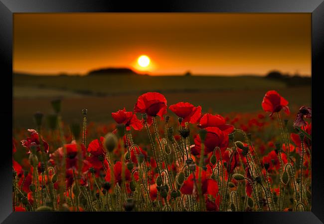 Sunset over poppies in Sussex Framed Print by Eddie Howland