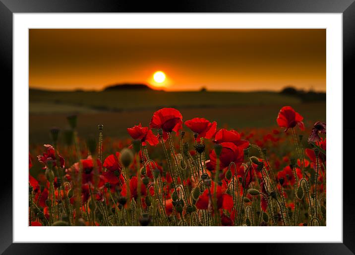 Sunset over poppies in Sussex Framed Mounted Print by Eddie Howland