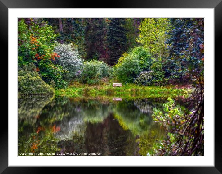 Her Quiet Place Fairytale Forest Loch Scottish Highlands Framed Mounted Print by OBT imaging