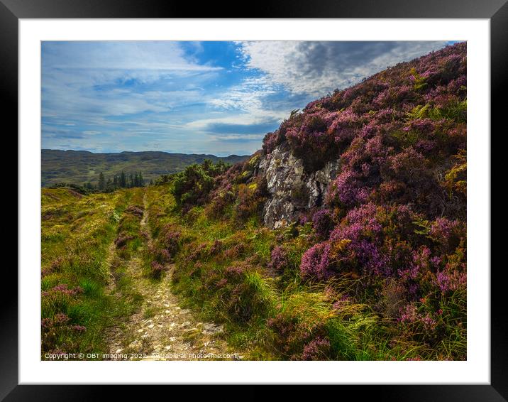 Ancient Drovers Road Heather Clad Assynt West Highland Scotland Framed Mounted Print by OBT imaging