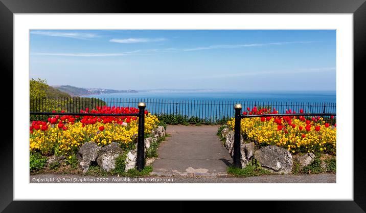 Tulips and Lyme Bay Framed Mounted Print by Paul Stapleton