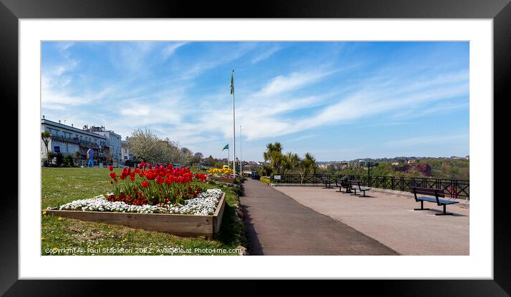 Spring on Babbacombe Downs Framed Mounted Print by Paul Stapleton
