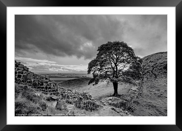 Sycamore Gap, View to the North Framed Mounted Print by Jonathan Bird