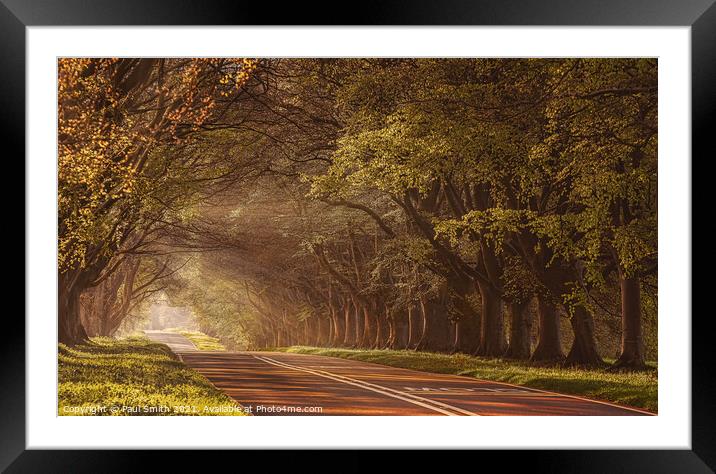 Sunbeams at Beech Avenue Framed Mounted Print by Paul Smith