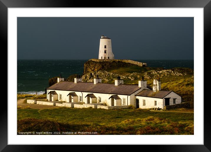 Twr Mawr Lighthouse and Pilots Cottages, Anglesey Framed Mounted Print by Nigel Wilkins