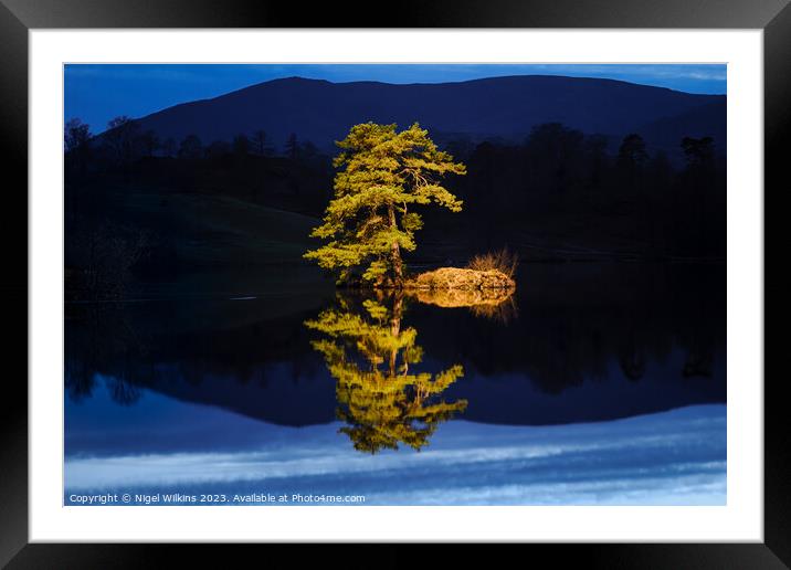 Isolation - A Lone Tree on a small island Framed Mounted Print by Nigel Wilkins