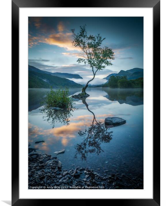 Buy Framed Mounted Prints of Lyn Padarn Lone Tree by Andy Gray