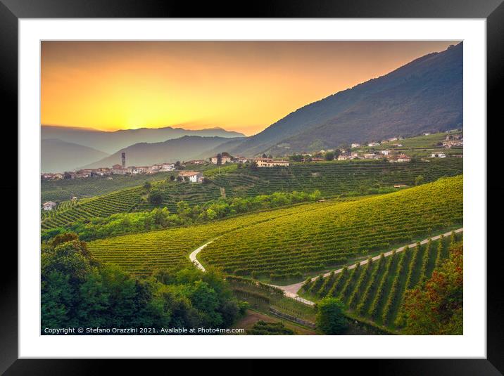 Vineyards after Sunset in Prosecco Hills Framed Mounted Print by Stefano Orazzini