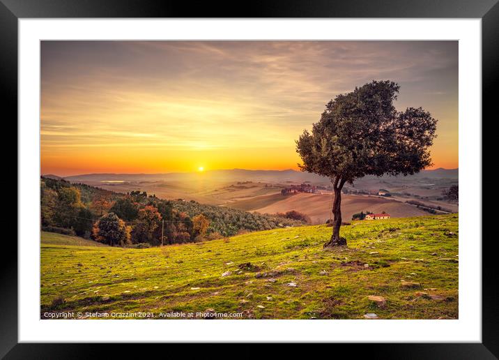 Windy Olive Tree at Sunset. Tuscany Framed Mounted Print by Stefano Orazzini