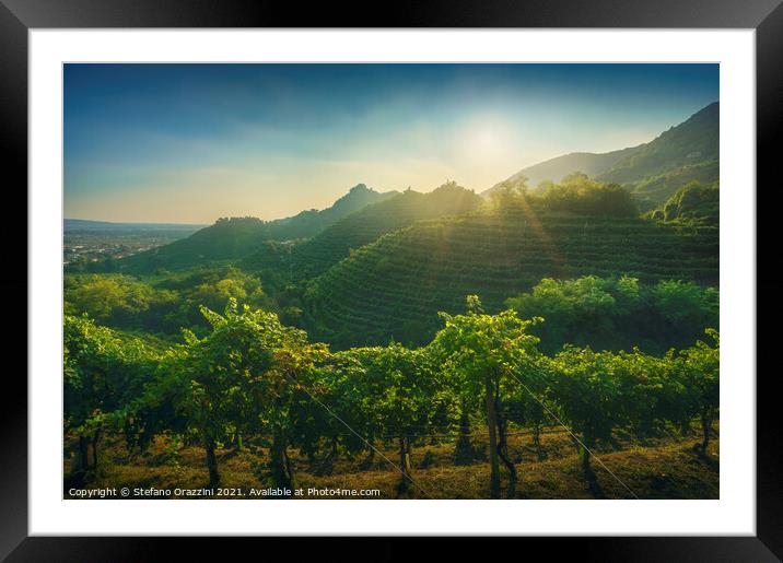 Prosecco Vineyards and Setting Sun. Italy Framed Mounted Print by Stefano Orazzini