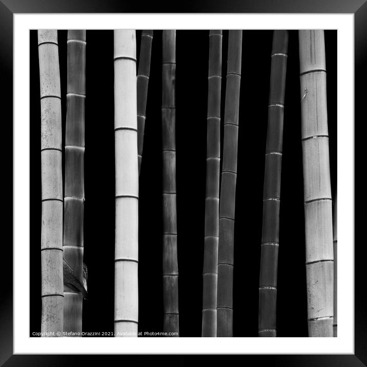 Bamboo, Study I (2010) Framed Mounted Print by Stefano Orazzini