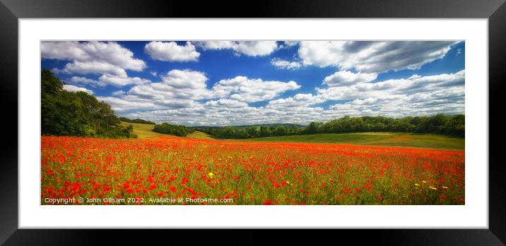 Poppy Panorama - Kent UK Framed Mounted Print by John Gilham