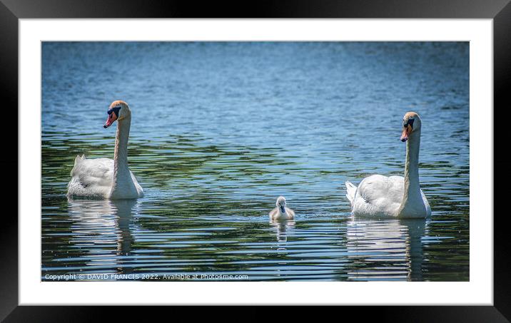 Serenity on the Blue Lake Framed Mounted Print by DAVID FRANCIS