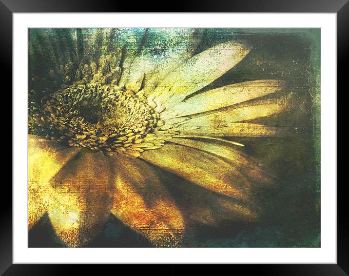 A Floral  Symphony Framed Mounted Print by Aj’s Images