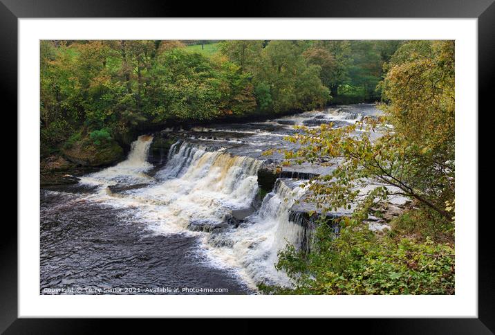 Aysgarth Falls middle flight of the triple flight  Framed Mounted Print by Terry Senior